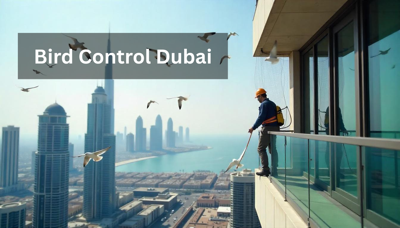 Bird Control Dubai: Professional Pest Management Services